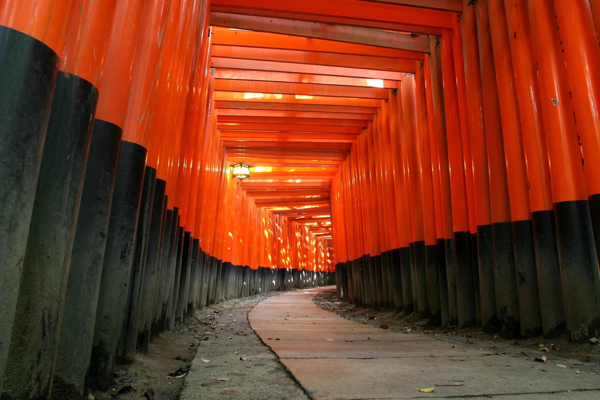 Kyoto: The Soul of Japan, Preserved in Wood and Stone