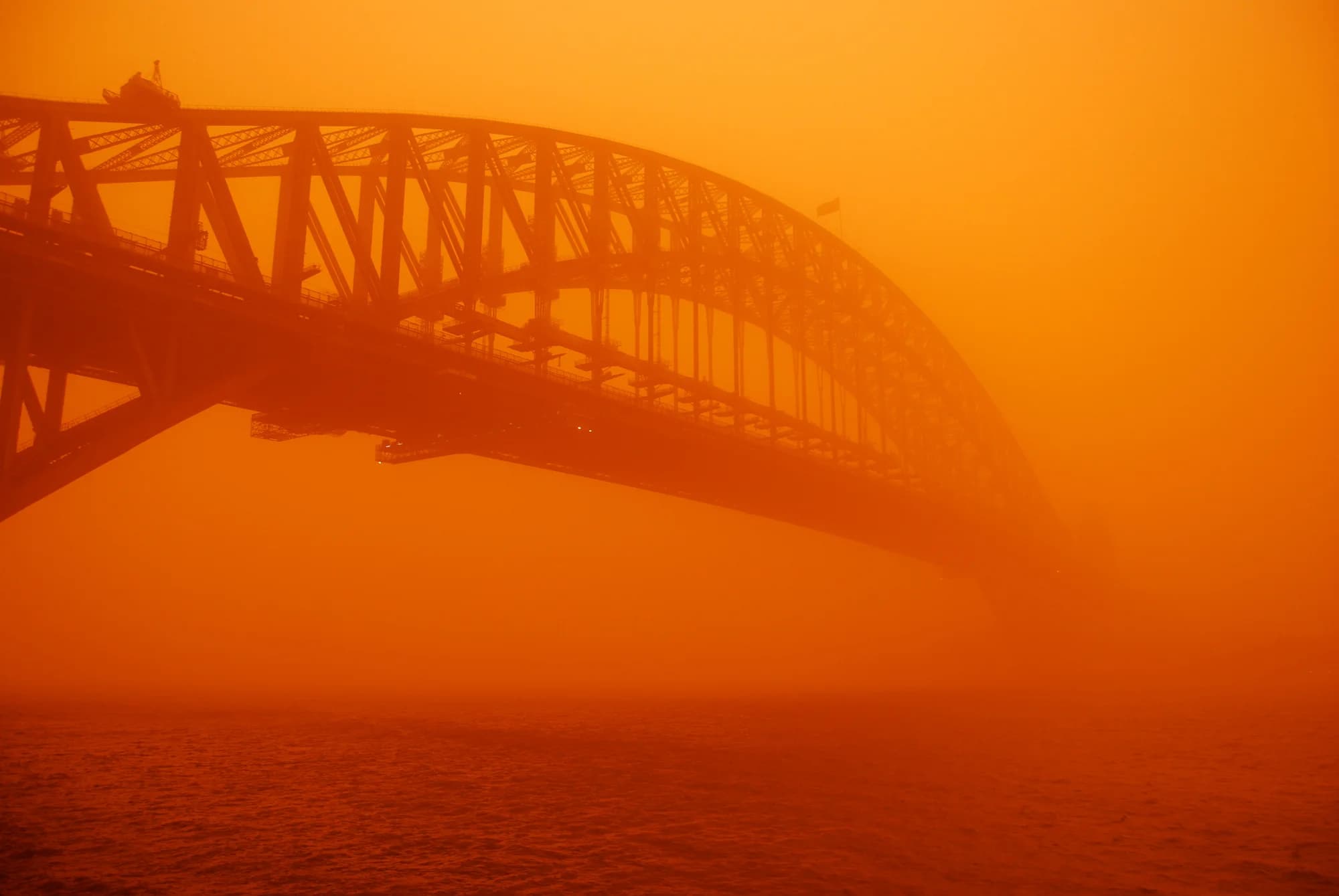The Manly ferry crossing Sydney Harbour — the green-and-gold Freshwater-class ferry cutting through cobalt water, the Opera House and Harbour Bridge framed in the background, passengers lining the bow rail into a stiff southerly breeze, seagulls hovering in the ferry's slipstream
