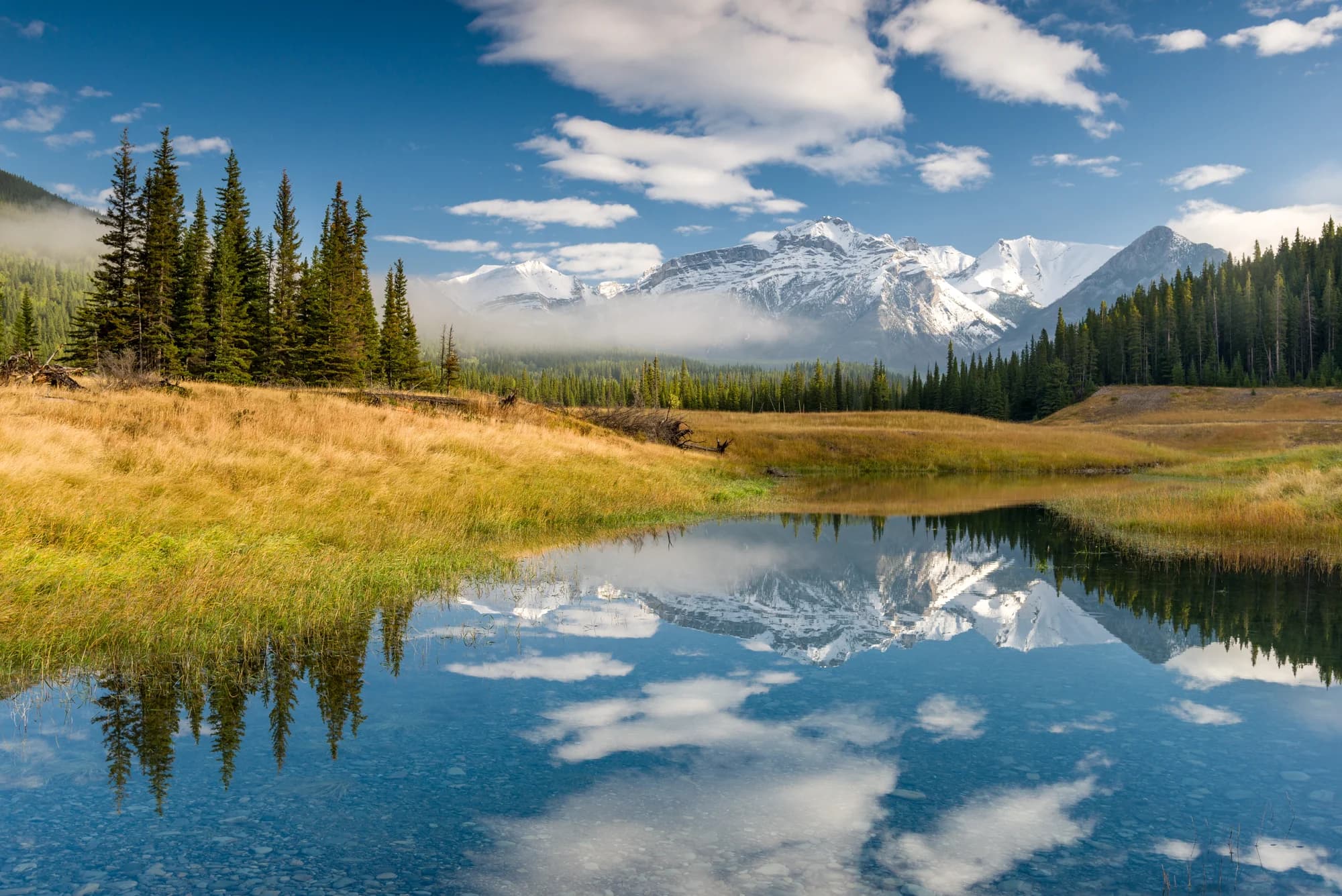 The Icefields Parkway at Bow Lake — the blue-green water reflecting Crowfoot Mountain and the Bow Glacier, the peaks of the Continental Divide a wall of rock and ice on the western horizon, the road a ribbon of asphalt winding through the valley, the scale of the landscape such that the cars on the road — and the people within them — are ant-like, temporary, completely at the mercy of the mountains